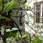Appartement Petite France Avec Terrasse