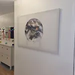 L\'Univers Au Blanc.
