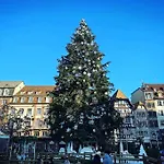 Appartement Carre Or Strasbourg
