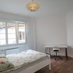 Grand Appartement Spacieux