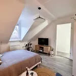 Soh Rent Strasbourg Saint Florent Proche Gare