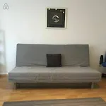 Appartement Eurometropole