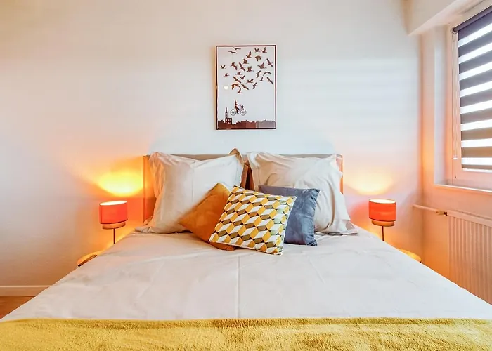 Alsacetime, Centre Parking Gratuit, Tram Wifi, Fibre Orange, Espace De Travail