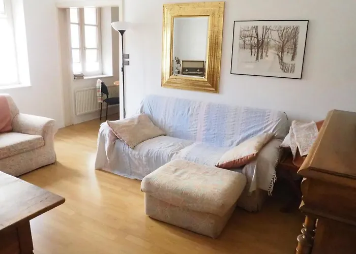 Le Tanneur, Appartement Vintage Hypercentre
