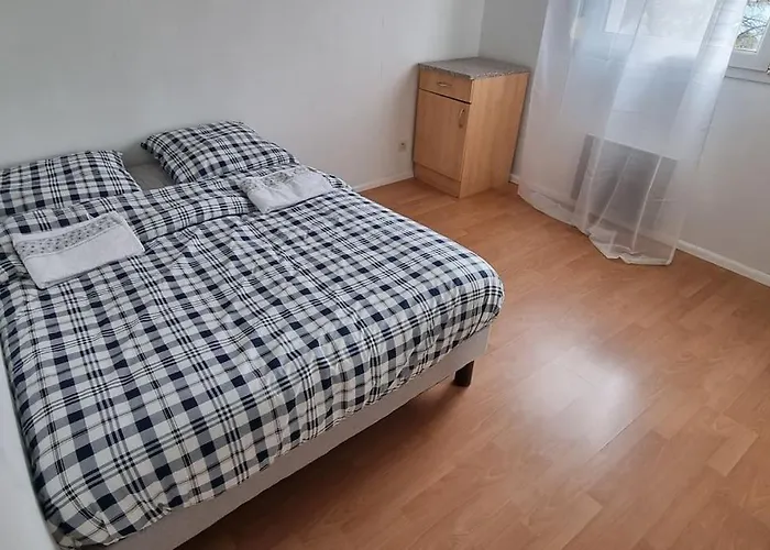 Cosy Rent Strasbourg Garage Wifi Terrasse Dream Host Romain