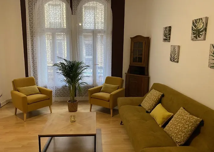 Grand Appartement Au Centre Ville