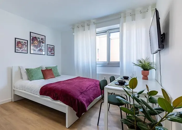 Studio Douillet /Centre Ville