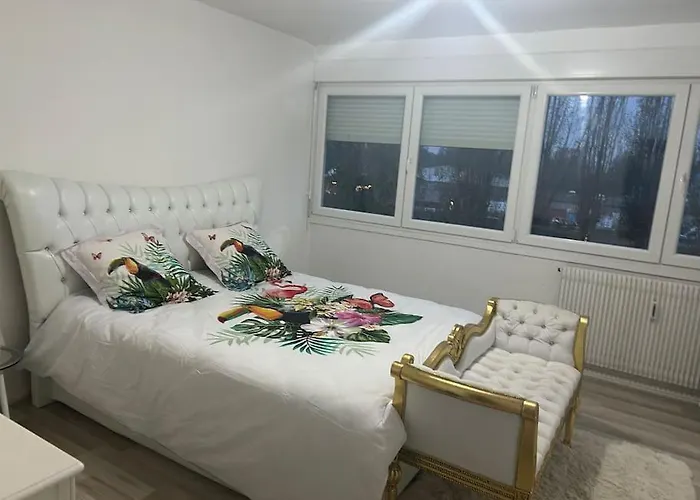 Appartement A Strasbourg