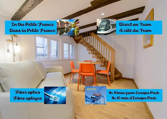 Cosy & Quiet Flat In Historical Lively Center Of Strasbourg