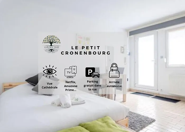 Petit Cronenbourg - GOLDEN TREE - WIFI - 5 min gare de Strasbourg