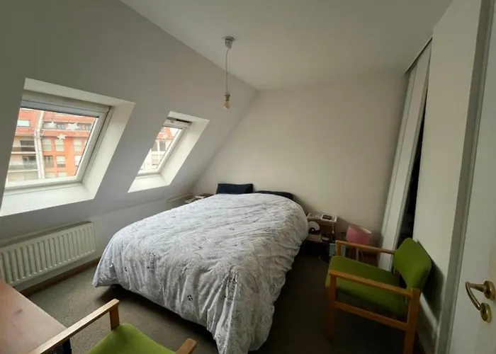 Grand Appartement Sous Les Toits