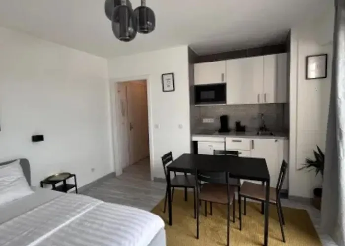 Cosy Rent Strasbourg Wifi Terrasse St Aloise