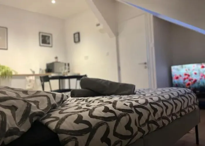 Cosy Rent Strasbourg Studio 3 Tv-Wifi Proche Gare