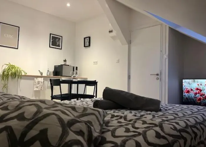 Cosy Rent Strasbourg Studio 2 Tv- Wifi Proche Gare