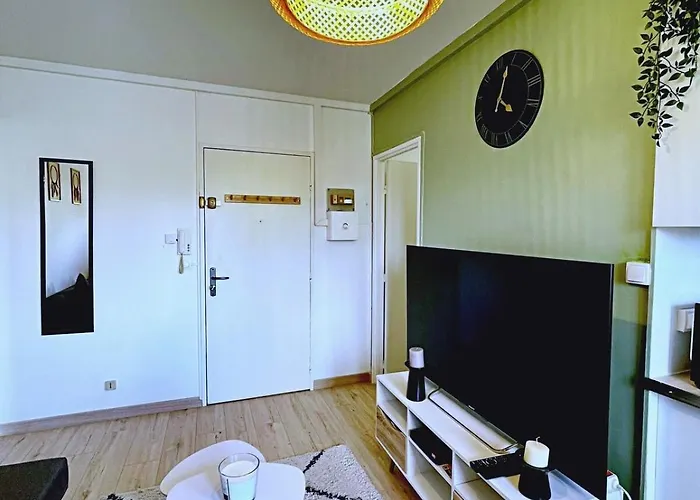 Soh Rent Strasbourg Appartement Wifi Terrasse