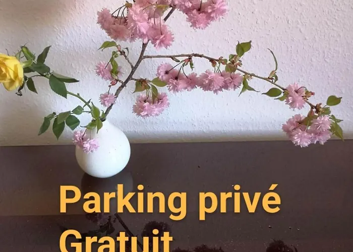 Appartement Zen Strasbourg Center Avec Parking