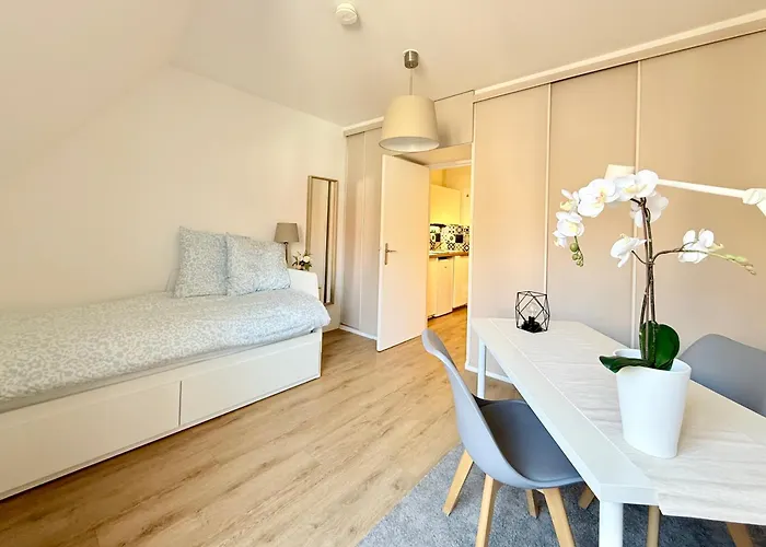 Cosy Studio Grand Rue A Strasbourg
