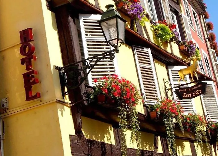 Logis Hotel Restaurant Au Cerf D\'Or