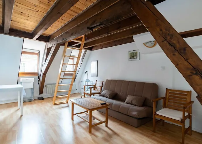 Citycosy Strasbourg - Budget St Thomas Serruriers