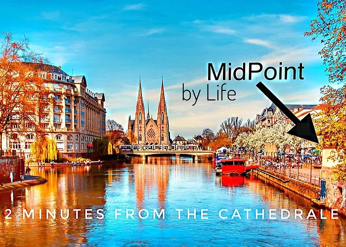MIDPOINT by Life Renaissance