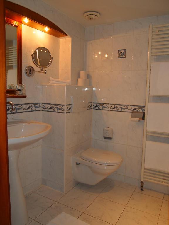 Hotel Logis Restaurant Au Cerf D'or 3*