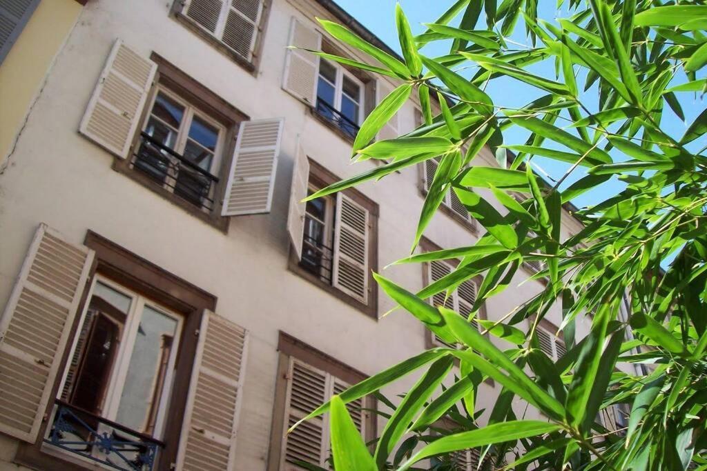 R-appartements Fenetresurkrut * Strasbourg