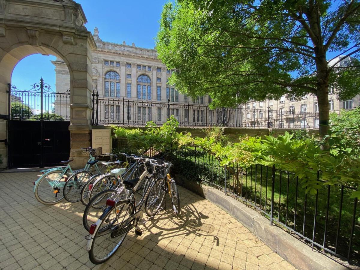 Appartement Les Lumières De La Strasbourg