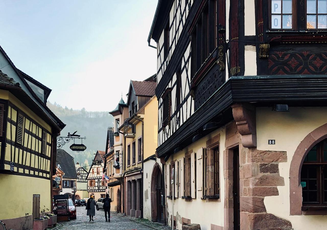 Maison Duplex, Avec Terrasse Dans * Strasbourg