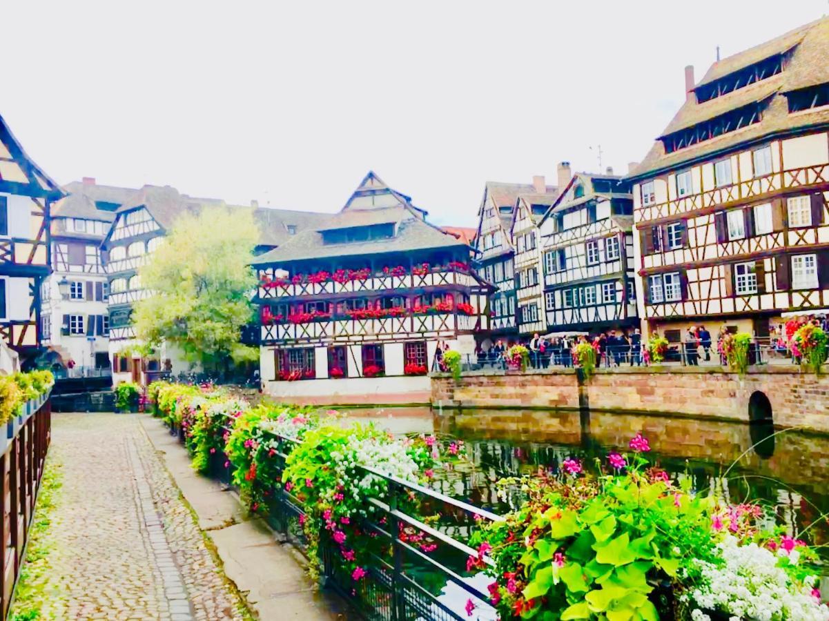 Apartment Cosy & Quiet Flat In Historical Lively Center Of