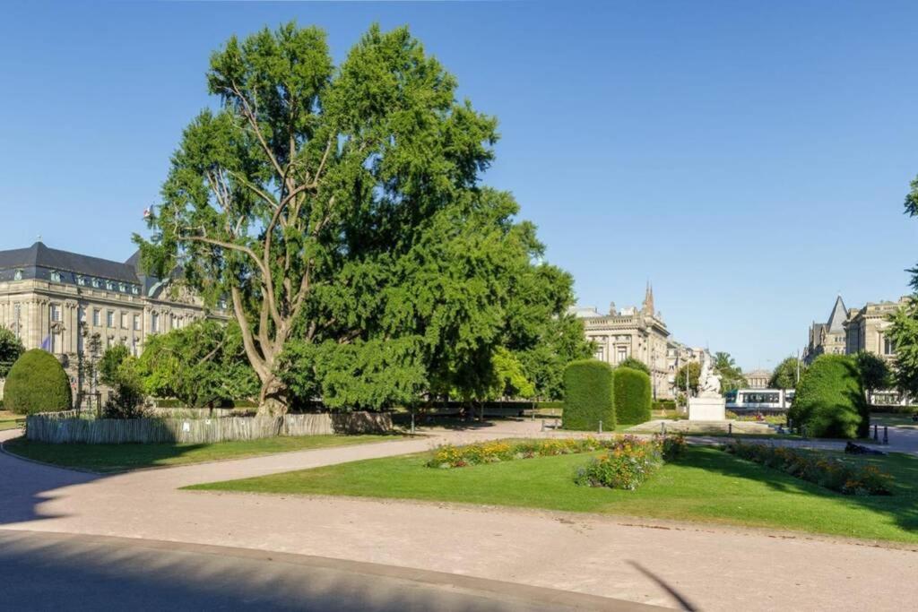 Appartement Magnifique Au Cœur De La Petite France Strasbourg