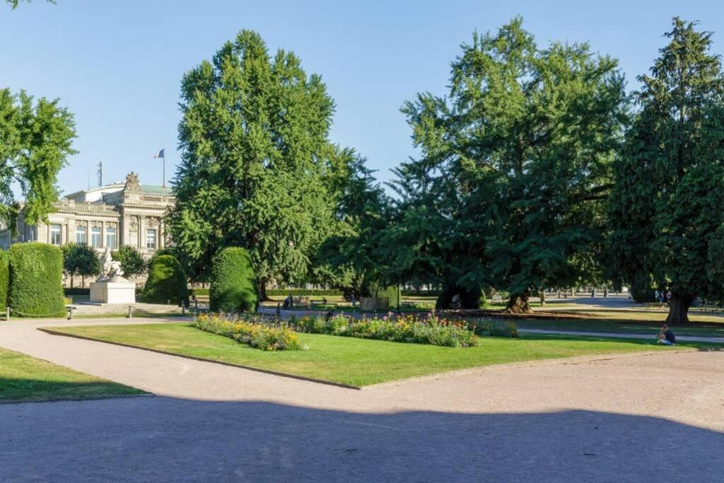 Magnifique Au Cœur De La Petite France *