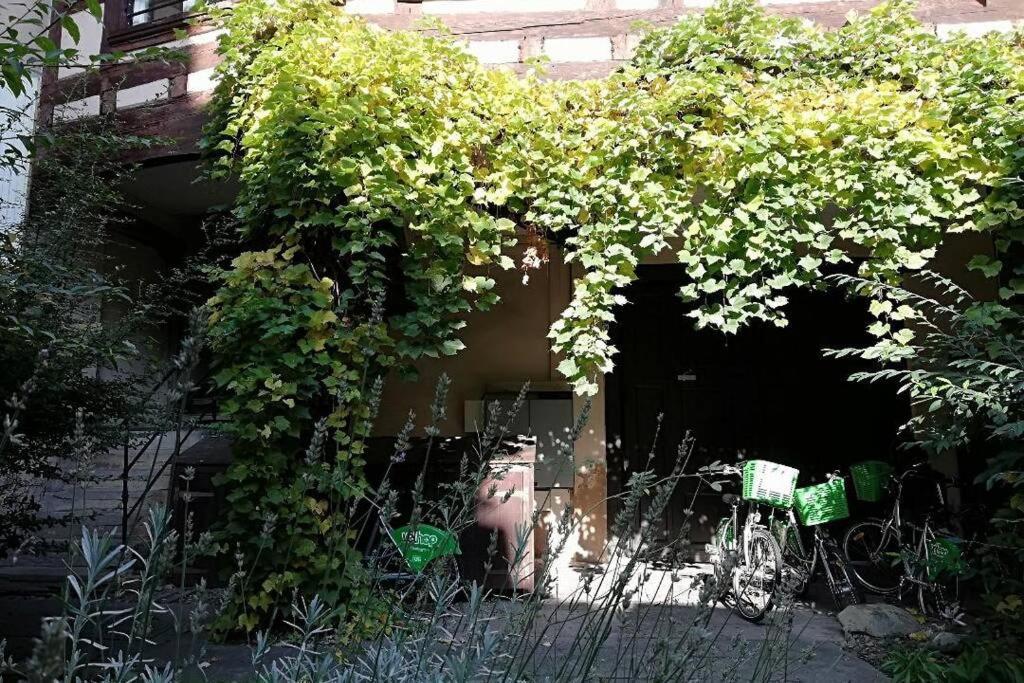 La Chaumiere Apartment