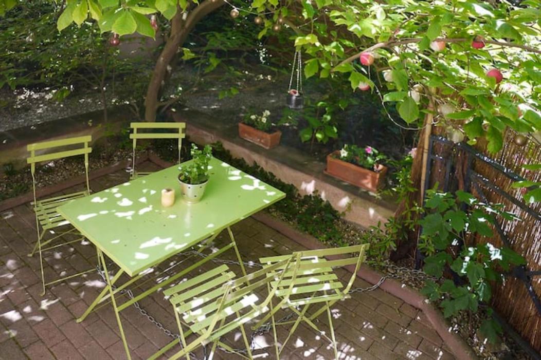 Apartment Petite France Avec Terrasse Strasbourg