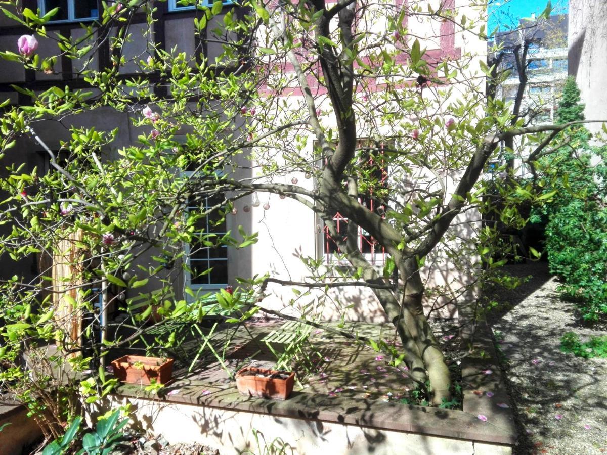 Petite France Avec Terrasse * Strasbourg