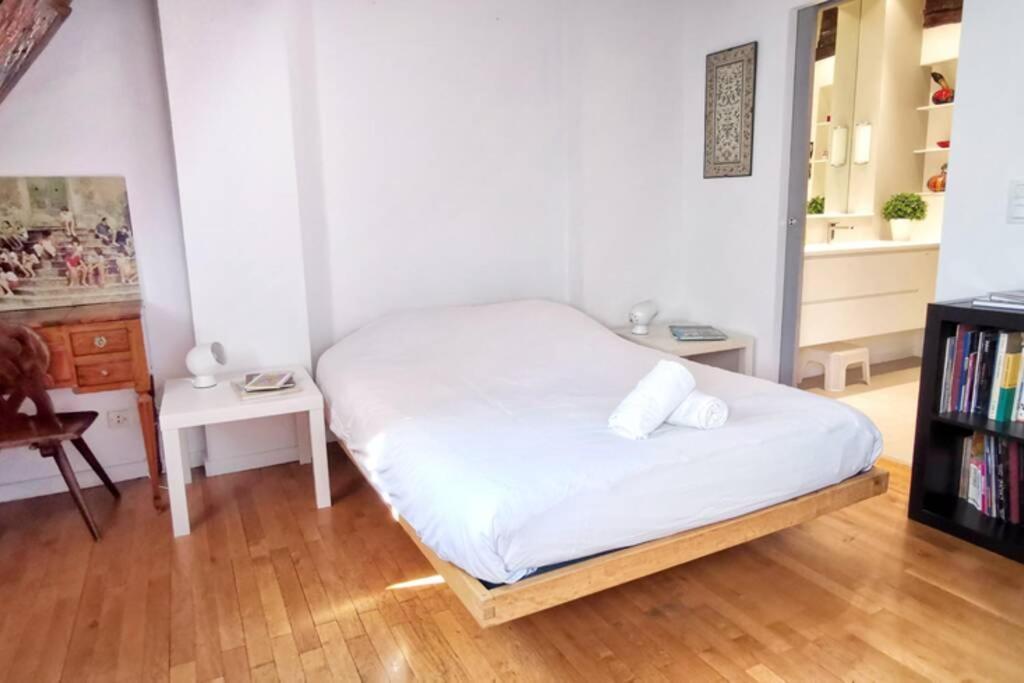 200m2 Triplex Proche Cathedrale Appartement Straatsburg