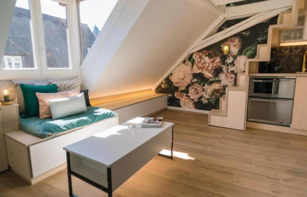 L'evasion - Cozy - Rbnb * Straatsburg