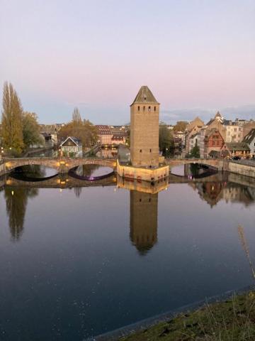 Mozart Appartement Strasbourg