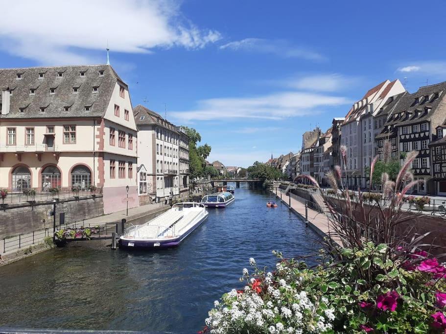 R-appartements Fenetresurkrut * Strasbourg