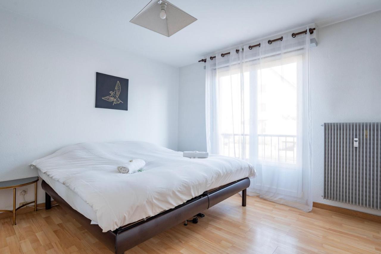 Le Grand Elsau - Wifi - Parking Gratuit - 15 Min Centre Appartement *