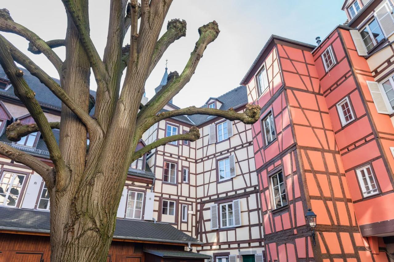 Mon - Cozy - Rbnb Straatsburg