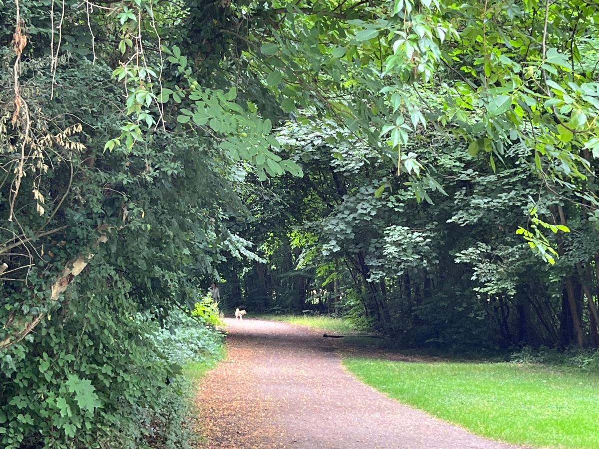 Apartment Park Line Garden Strasbourg