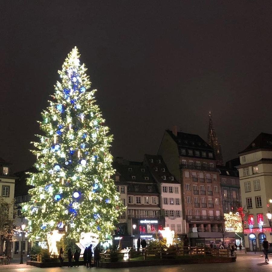 Appartement Loft Saint Thomas - Petite France Strasbourg