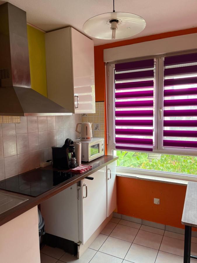 Park Line Garden Apartment Strasbourg