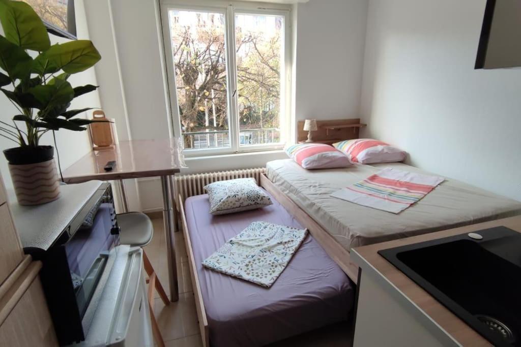 Orangerie Apartment