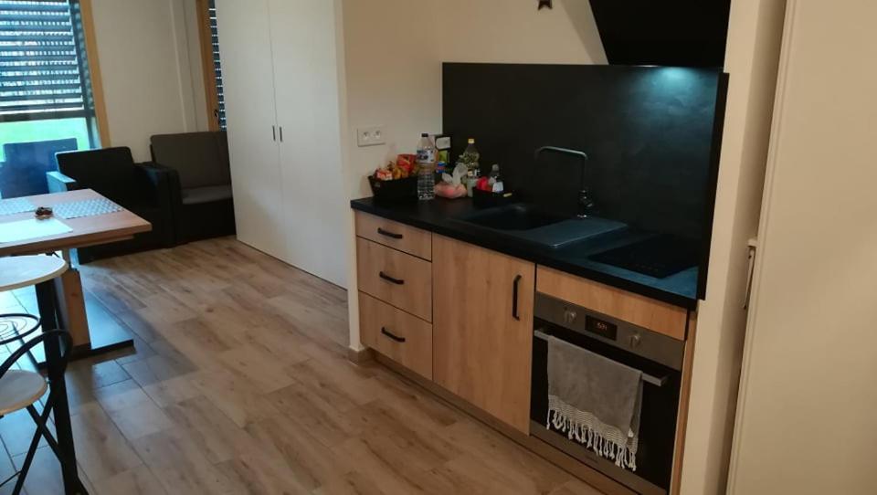 Au Jardin Des 2 Rives Appartement Strasbourg