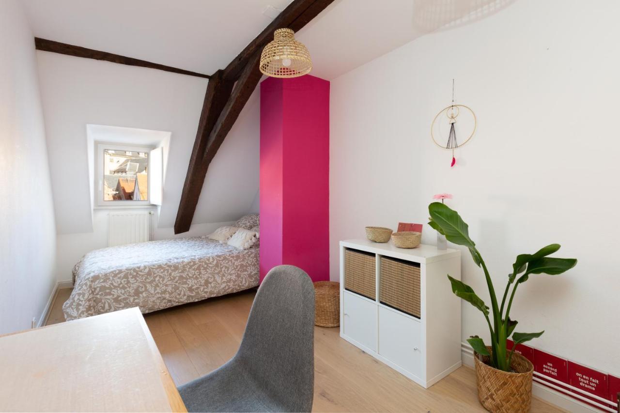 Petite France-cathedrale, Duplex 100m2- 3 * Strasbourg