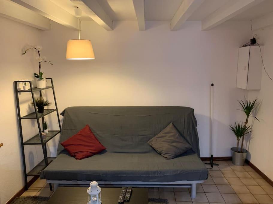 2 Pieces 43 M² Hypercentre A 2 Min Marche De Noel