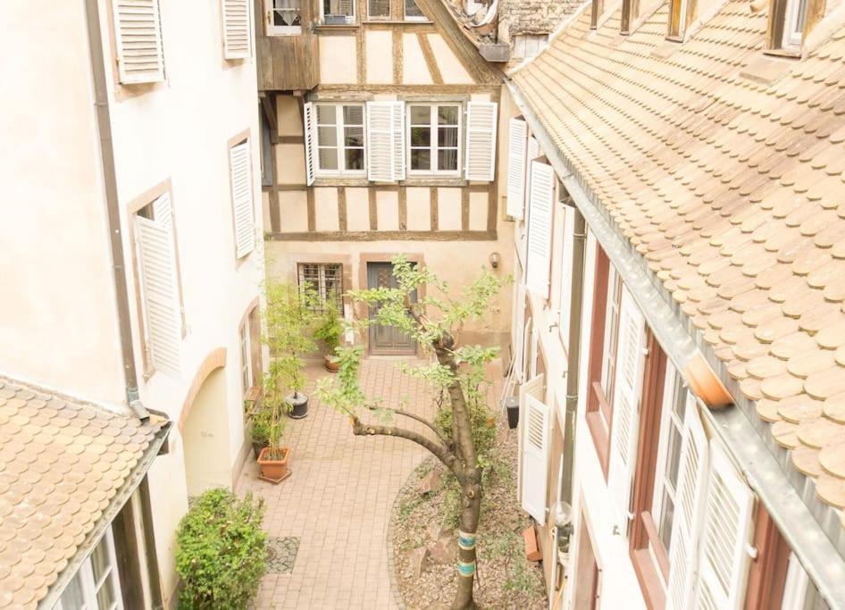 Triplex En Hyper Centre Strasbourg