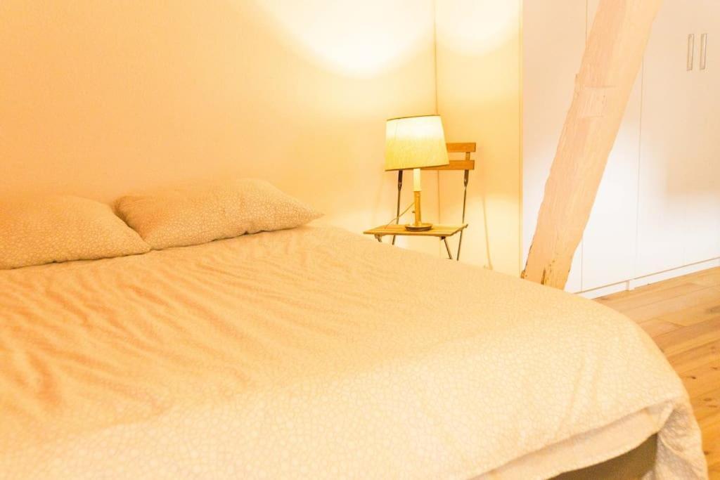 Apartment Triplex En Hyper Centre Strasbourg