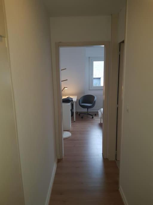 Studio De La Petite France Appartement Straatsburg